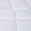 Anti-Microbial Down Alternative Comforter - as Pic